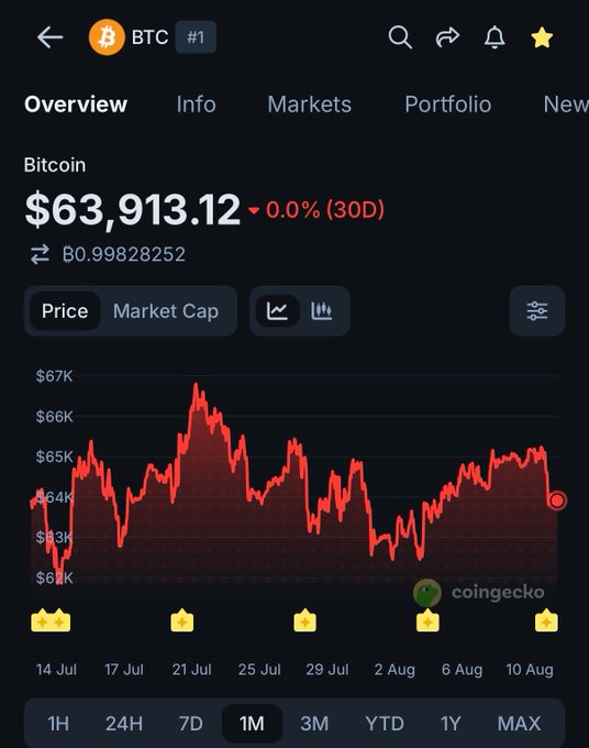 CoinGecko mobile app screenshot showing Bitcoin (BTC #1) overview with a price of $63,913.12 (0.0% 30D) and a red 1-month chart.