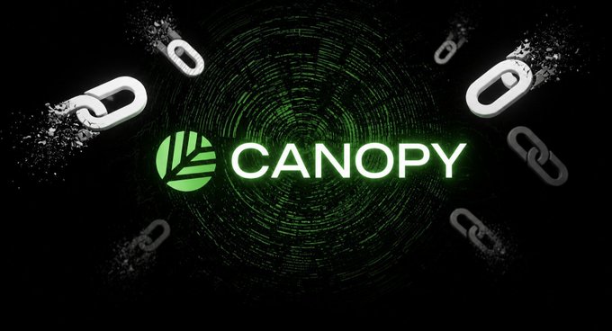 The 'CANOPY' logo featuring a green leaf icon centered against a dark background with a digital green tunnel effect and floating chain links.