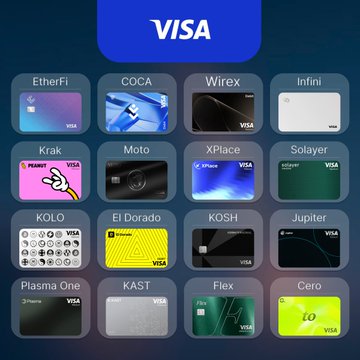 A collection of various Visa-branded credit cards displayed under a large 'VISA' logo.