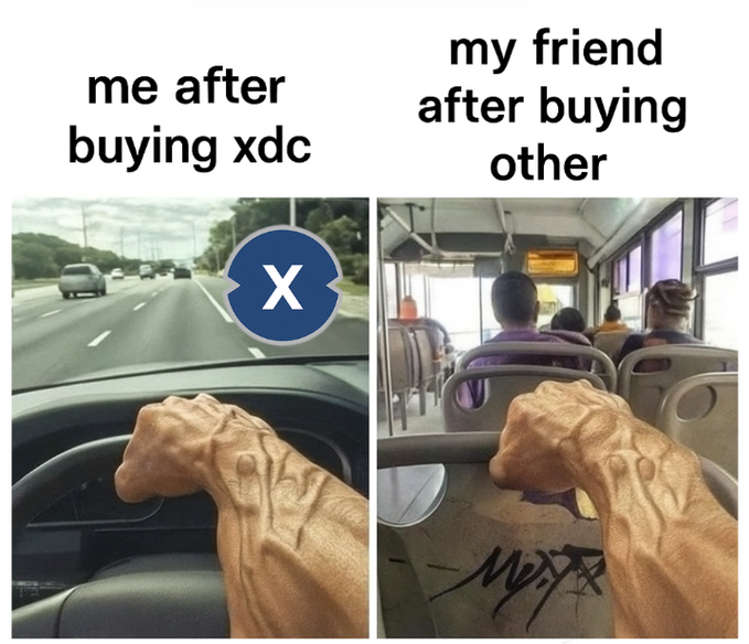Two-panel meme comparing 'me after buying xdc' (driving a car) versus 'my friend after buying other' (riding a bus), using an image of a wrinkled dog's paw gripping a steering wheel and pole.