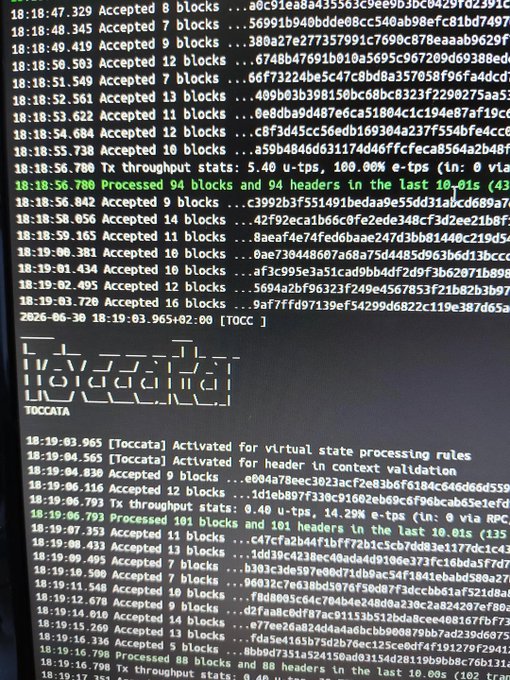A computer terminal screen displaying cryptocurrency node logs with block processing statistics, showing '[TOCCATA] Activated for virtual state processing rules' and transaction throughput data.