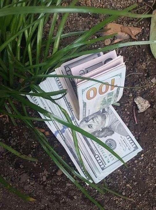 A thick stack of hundred-dollar bills partially hidden under green grass blades on dirt ground.