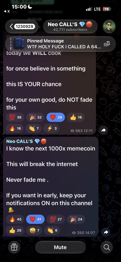 A Telegram channel called "Neo CALL'S 💎🔴" with two pinned posts promoting a memecoin call ("WTF HOLY FUCK I CALLED A 64...") and "I know the next 1000x memecoin", urging subscribers to keep notifications on.