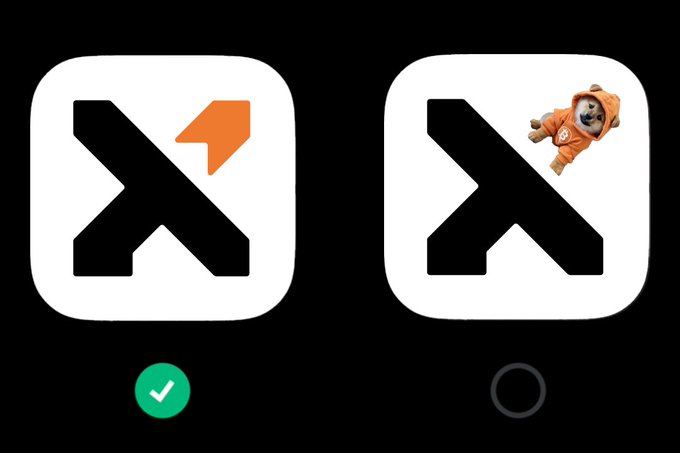 Two variations of a logo featuring a black 'X' shape; the left version has an orange arrow and a green checkmark below it, while the right version includes a dog wearing an orange astronaut suit, with an empty circle below.