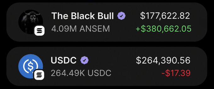 Crypto portfolio widget showing two assets: 'The Black Bull' with 4.09M ANSEM valued at $177,622.82 (+$380,662.05) and USDC with 264.49K valued at $264,390.56 (-$17.39).