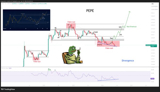 In this image, there's a computer screen displaying various charts related to cryptocurrency prices, with a pop up graphic featuring a green cartoon frog sitting behind one of the charts. The chart appears to be showing the price movement for the cryptocurrency named "PEPE". There is also a post on social media that discusses the price trend of PEPE, and it warns people not to rely too heavily on this information without taking into account other factors influencing market fluctuations.