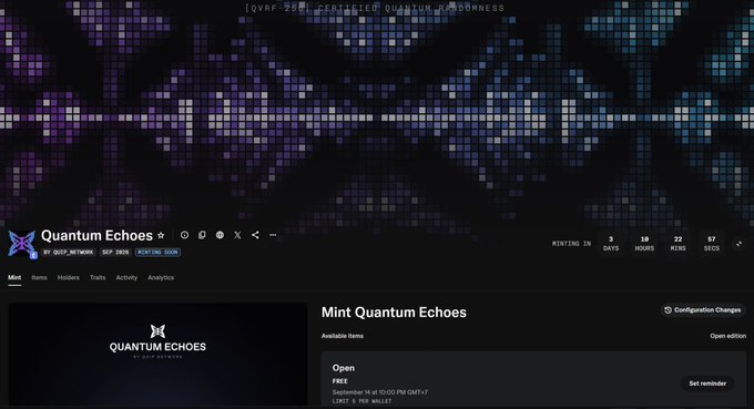 A webpage interface for 'Quantum Echoes by QOP Network' featuring a pixelated, symmetrical purple and black banner image and a 'Mint Quantum Echoes' section with pricing details.