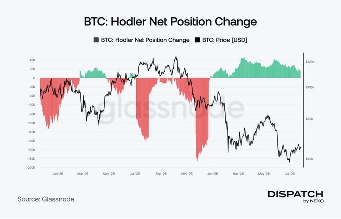 The chart titled "BTC: Hodler Net Position Change" displays Bitcoin's long-term holder net position change (green/red bars) overlaid with BTC price in USD (black line) from January 2025 through mid-2026. It shows that after sustained selling/distribution (red bars) throughout most of 2025 coinciding with prices falling from ~$100K to ~$60K, holders flipped to consistent net accumulation (green bars) from late December 2025 onward—some days exceeding 40K BTC in additions—even as price remained subdued around the $60-80K range. This visual reinforces the post's point that steady hodler accumulation during market hesitation has historically preceded upward price movement.