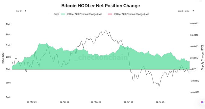 A chart from checkonchain titled "Bitcoin HODLer Net Position Change" tracks the past six months (March 2025 to July 2025), showing Bitcoin's price ranging from roughly $59k to $89k USD alongside HODLer net position changes that remained predominantly positive (green area) throughout the entire period, never dipping into net selling territory—supporting the claim that HODLers accumulated for six consecutive months even as BTC dropped 49% from its top.