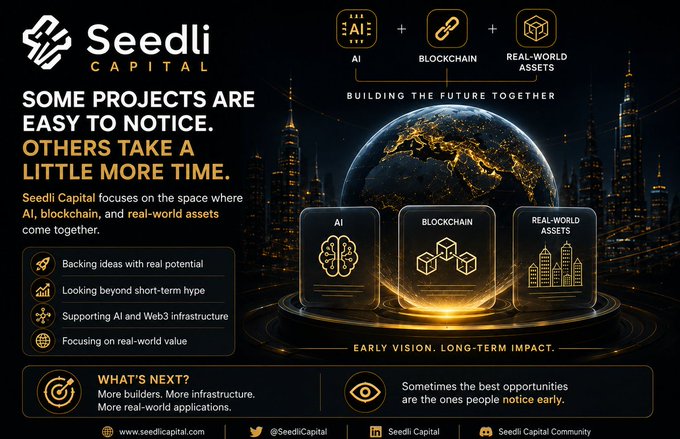 A promotional graphic for Seedli Capital highlights their focus on the intersection of AI, blockchain, and real-world assets, featuring the tagline "Some projects are easy to notice. Others take a little more time" alongside imagery of a glowing Earth and city skyline, reinforcing the post's emphasis on Seedli's long-term vision in this emerging tech convergence.
