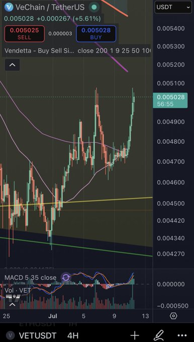 A cryptocurrency trading chart for VeChain/TetherUS (VETUSDT) showing a 4-hour candlestick chart with a current price of 0.005028 USDT, featuring technical indicators including moving averages, a yellow trendline, and a MACD indicator at the bottom, with red and green arrow annotations pointing to specific areas.