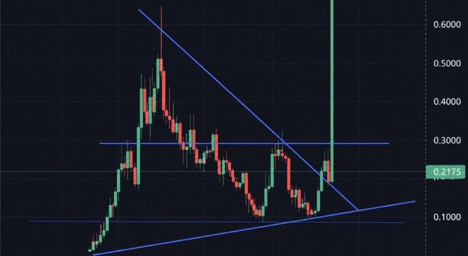 A cryptocurrency candlestick chart shows price action with values ranging from approximately 0.1000 to 0.6000, with the current price marked at 0.2175. The chart features descending trendlines and a recent sharp upward spike, illustrating the volatile price movement that aligns with the post's claims of upcoming bullish runs for several meme tokens ($CASHCAT, $PIPEDOG, $JIMOTHY, and $CATE).