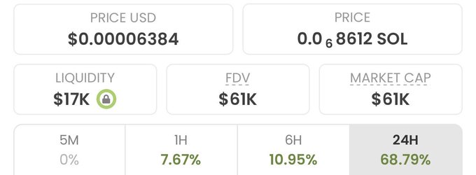 A cryptocurrency price tracker displays a token priced at $0.00006384 USD (0.00068612 SOL) with $17K liquidity, a $61K fully diluted valuation (FDV) and market cap, and 24-hour gains of 68.79%. The metrics shown illustrate the kind of explosive short-term price appreciation referenced in the post's promotion of multiple meme coin calls.