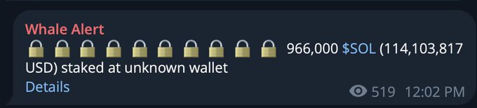 A whale alert notification reports that 966,000 SOL ($114,103,817 USD) was staked to an unknown wallet, matching the post's description of a large 1M SOL stake to a new validator. The alert, timestamped at 12:02 PM with 519 views, includes a "Details" link for further information.