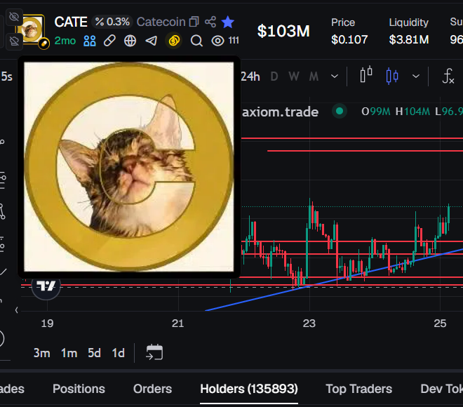 A cryptocurrency trading chart for CATE (Catecoin) with a 0.3% tax, showing a price of $0.107, a market cap of $103M, and 135,893 holders, featuring a cat logo.
