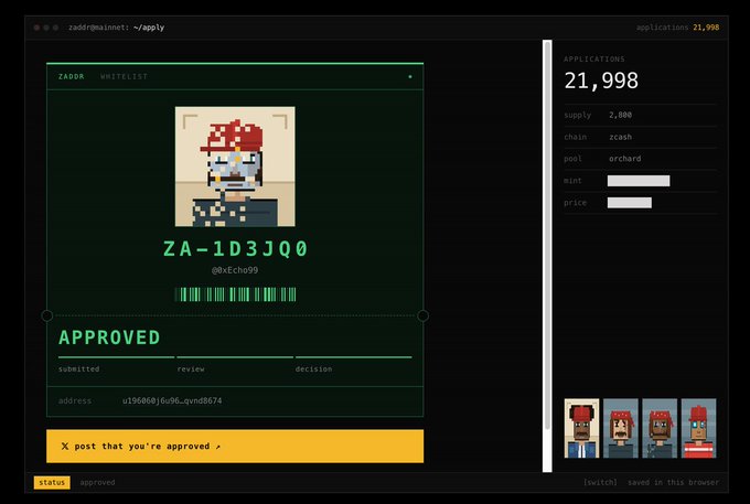 A webpage screenshot showing a 'ZADOR WHITELIST' application with 'APPROVED' status, featuring a pixel-art character, an ID 'ZA-1D3JQ0', and an applications counter showing '21,998'.