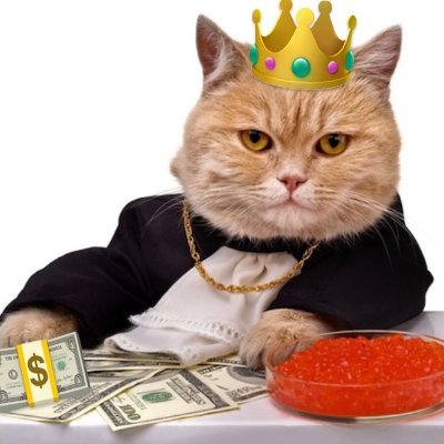 A humorous image of an orange cat wearing a gold crown with colorful jewels, a black cape, and a gold chain, resting its paws on stacks of dollar bills next to a bowl of red caviar.
