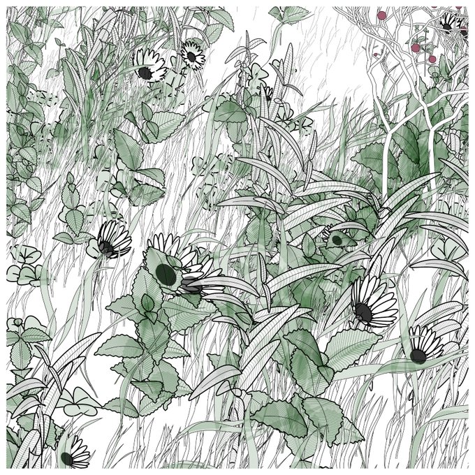 A stylized green and white illustration of a field of daisies and grass with detailed line work.
