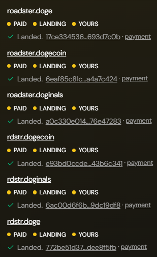 A dark-themed screenshot showing a list of domain registrations (including roadster.doge, roadster.dogecoin, and rdxlabs-related domains) all marked as 'PAID', 'LANDING', and 'YOURS' with transaction hashes.