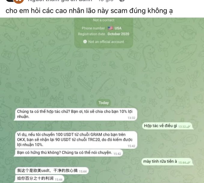 A screenshot of a Telegram conversation in Vietnamese and Chinese about a cryptocurrency investment opportunity offering 10% profit, with a user's question asking if it's a scam.