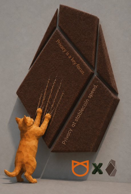 The image features an orange cat standing next to a brown paper cutout that reads "Prisoner by key focus" with a cat clawing at it, suggesting the cat's playful nature. The background of the image is white, which contrasts with the brown color of the paper cutout and the orange fur of the cat. The text on the paper cutout appears to be related to the partnership between GM! @meow and SeismicSys, where Meow uses Seismic for its stablecoin accounts and payment infrastructure. Businesses want the speed and affordability of stablecoins but don't want to publicize their financial data on a public blockchain.