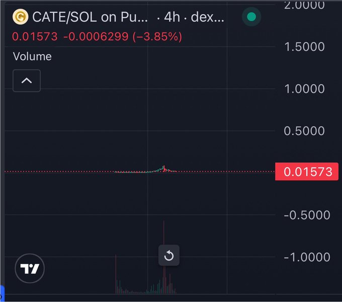 A TradingView chart shows the CATE/SOL trading pair on a 4-hour timeframe, currently priced at 0.01573 with a -3.85% decline (-0.0006299) and minimal volume, illustrating the minor "dip" the post dismisses as insignificant while highlighting ongoing buying activity and community bullishness.