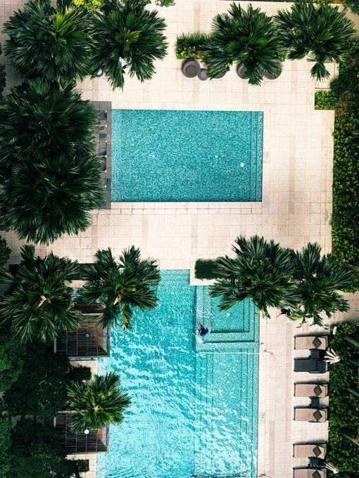 An aerial view of a luxurious resort featuring a turquoise swimming pool surrounded by palm trees and lounge chairs.