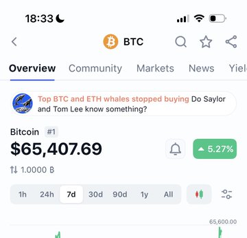 A crypto tracking app displays Bitcoin (BTC) at $65,407.69, up 5.27% over 7 days, with a headline noting whales stopped buying despite Saylor and Lee accumulating. The post humorously frames choosing between Bitcoin and a date as a serious dilemma, playing on BTC's strong 5.27% weekly surge.