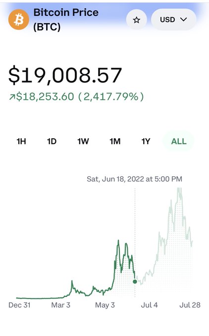Screenshot of a Bitcoin price tracker showing BTC at $19,008.57, down from $18,253.60 (-2,417.79%), with an 'ALL' time chart displayed.