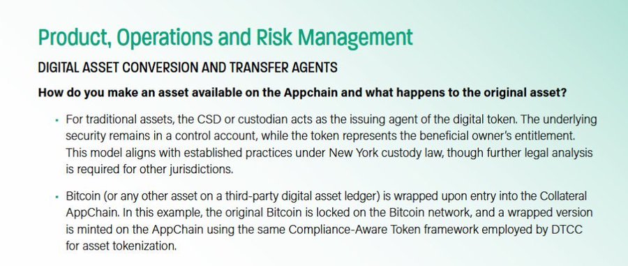 A presentation slide titled 'Product, Operations and Risk Management' explaining how digital assets are made available on the Appchain, with bullet points about CSD/custodian roles and Bitcoin wrapping.