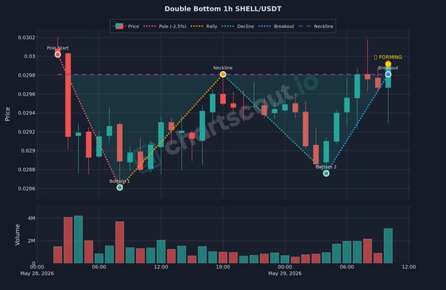The image depicts a chart that displays two vertical bars, with one bar having a red line going up from left to right and the other bar having a blue line going down from left to right. The title of the chart suggests that these bars represent shell/usdt prices, indicating that they are double bottom patterns for either token. However, there is no visible information about how these patterns may be related to shells or usd.