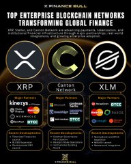 The image features a poster or flyer for "Top Enterprise Blockchain Networks" that highlights three different cryptocurrencies: Ripple, CXRp, and XLM. Each cryptocurrency has its own distinct logo, representing their unique identities within the blockchain ecosystem. The text on the poster emphasizes the importance of these networks in transforming global finance by providing more efficient and secure transactions.