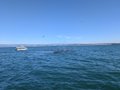 A small boat floats on a vast, calm blue sea under a clear sky.