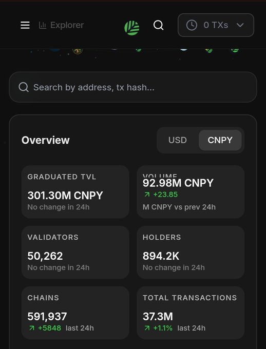 The image shows a blockchain explorer dashboard for CNPY Network's testnet, displaying key metrics: 301.30M CNPY in Graduated TVL, 92.98M CNPY in Volume (+23.85%), 50,262 Validators, 894.2K Holders, 591,937 Chains (+5848 in 24h), and 37.3M Total Transactions (+1.1%). This visually supports the post's point about how chasing high chain counts is misleading—the platform shows it has nearly 600K chains but the real challenge lies in sustaining activity and generating fees, as reflected by the modest transaction growth and volume figures despite the massive chain deployment.