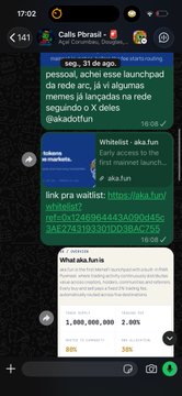 WhatsApp screenshot from 'Calls Florasat' sharing a Solana memecoin link for 'ALEA.fun' (alca.fun) with details showing 1,000,000,000 supply and 2.00% tax.
