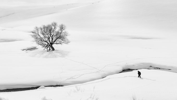 A black and white photograph of a solitary tree and a lone figure walking across a vast, snow-covered landscape with visible footprints.