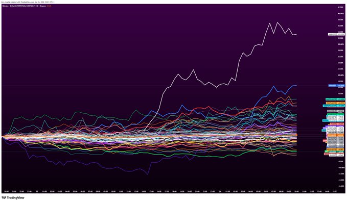 A TradingView chart displays a clutter of dozens of overlapping cryptocurrency and meme coin ticker lines (e.g., GM, PEPE, DOGE, SHIB, WIF, BONK) on a daily timeframe, with most names clustered near the zero line while a single white line breaks sharply upward to nearly 80%, visually capturing the volatile, speculative "pumping memes" rally referenced in the post.