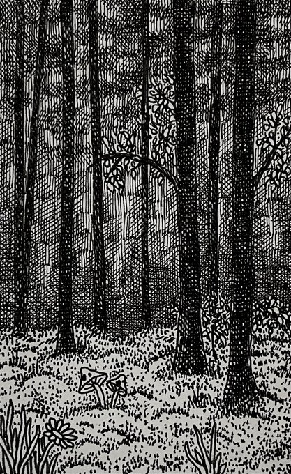 This black-and-white illustration depicts a dense, shadowy forest with tall trees rendered in intricate cross-hatching, where a small cluster of mushrooms grows in the dim undergrowth—visually echoing the piece's title "Shadow Garden." The artwork relates to the post as a generative art piece minted on the Tezos blockchain, presented as the second of 20 editions sold for 1 Tez each in celebration of TezosTuesday.