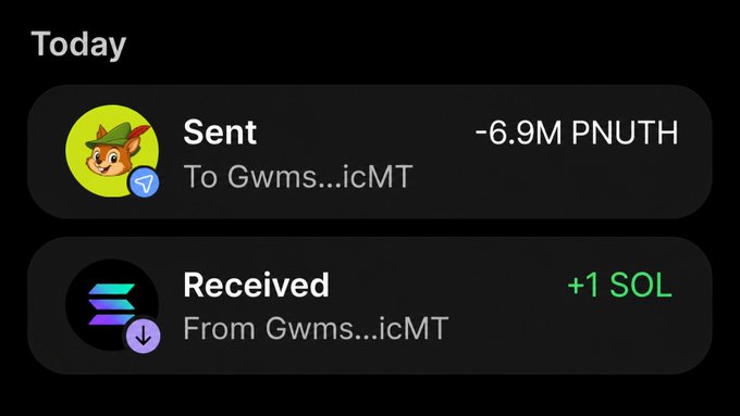 A cryptocurrency transaction history screen showing today's activity: -6.9M PNUTH sent to address Gwms...icMT and +1 SOL received from the same address.