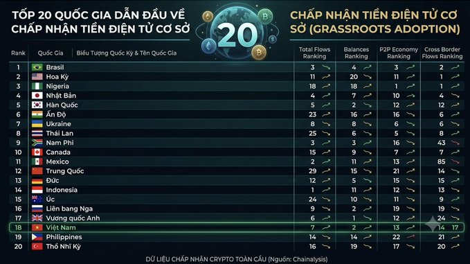 A Vietnamese-language infographic ranking the 'Top 20 Countries Leading in Grassroots Adoption of Cryptocurrency,' listing countries with flags (Brazil, USA, Nigeria, Japan, South Korea, etc.) and their rankings across Total Flows, Balances, P2P Economy, and Cross Border Flows categories, sourced from October 2026.