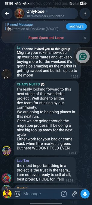 A Telegram group chat called 'OnlyRose' containing messages about a token migration, with pinned text from 'Le' about migrating tokens and messages from 'CHAOS NUTTS' and 'Lao Tzu' promoting upcoming projects and encouraging users not to sell.