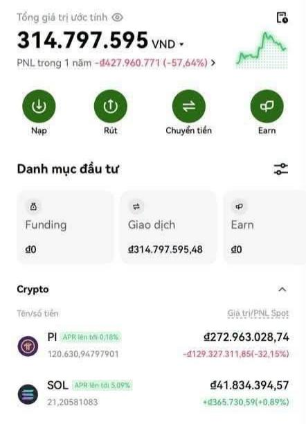 A Vietnamese cryptocurrency portfolio app interface showing a total estimated value of 314,797,595 VND with a 1-year PNL of -427,960,771 (-57.64%), including holdings in PI and SOL.
