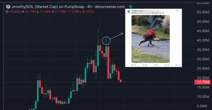 The image shows a 4-hour candlestick chart of Jimothy/SOL on PumpSwap with a market cap peaking around 40M before dropping to 17.78M (down 6.42%), paired with a viral White House Instagram post depicting a dog riding an alligator captioned "The White House: The way to Washington D.C. IS Healthy spinach for the way to Washington D.C." The meme illustrates the unexpected bullish spike in $Jimothy following the White House's bizarre official post, humorously suggesting the absurd imagery fueled the token's pump.