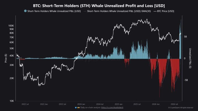 A financial chart titled 'BTC: Short-Term Holders (STH) Whale Unrealized Profit and Loss [USD]' showing Bitcoin price action from 2022 to 2026 alongside blue and red profit/loss indicators.