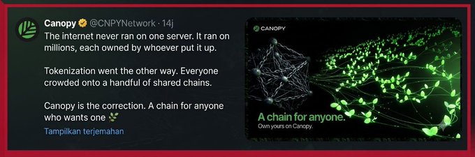 A tweet from Canopy (@CNPYNetwork) about 'A chain for anyone' with a green network graphic promoting their blockchain platform.