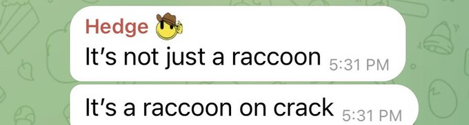 A text message conversation from 'Hedge' with a cowboy emoji reading 'It's not just a raccoon' followed by 'It's a raccoon on crack' at 5:31 PM.