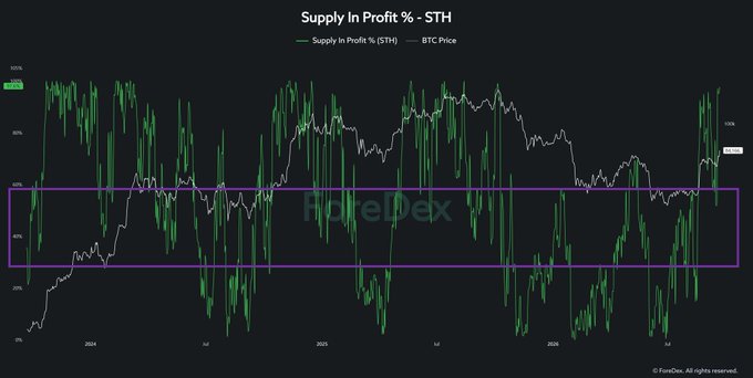 A 'Supply In Profit % - STH' chart showing Bitcoin price and supply metrics from 2024-2026, watermarked with 'HoleDex'.