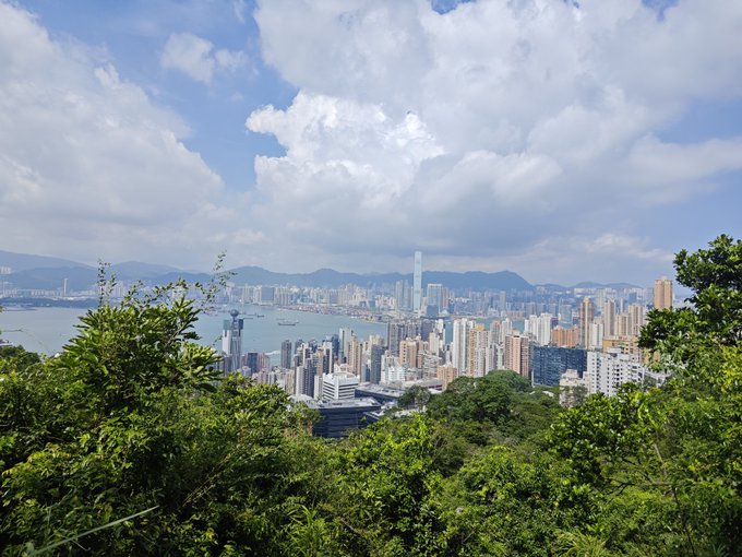 A scenic daytime view of the Hong Kong skyline and harbor taken from a lush green hilltop, with dense city skyscrapers stretching toward the mountains under a cloudy sky.