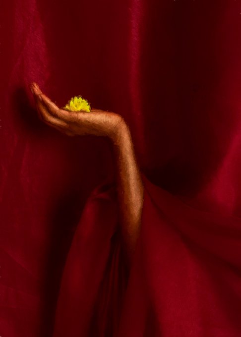A weathered arm extends gracefully against a rich red draped fabric, cradling a small bright yellow flower in its palm. Titled "The Bend Between," the image evokes quiet offering and tender vulnerability, with the delicate blossom serving as a radiant focal point amid the deep crimson folds.