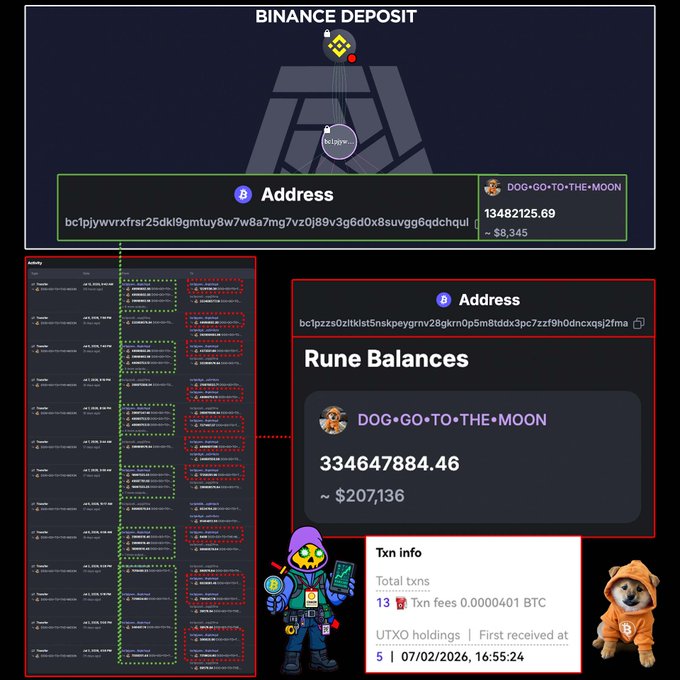 A Binance deposit screenshot showing DOG•GO•TO•THE•MOON rune balances of approximately $207,136, along with various wallet addresses and transaction information.
